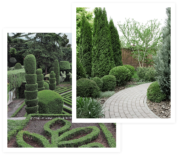 Lawn & Garden Care