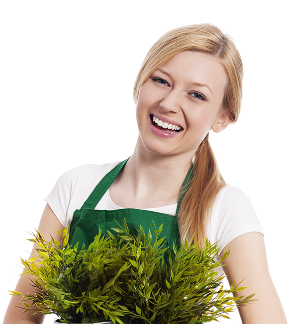 Garden Maintenance