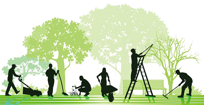 Garden Maintenance